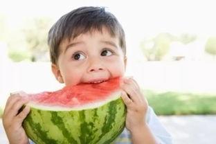 娱乐君吃瓜老绵羊是谁
